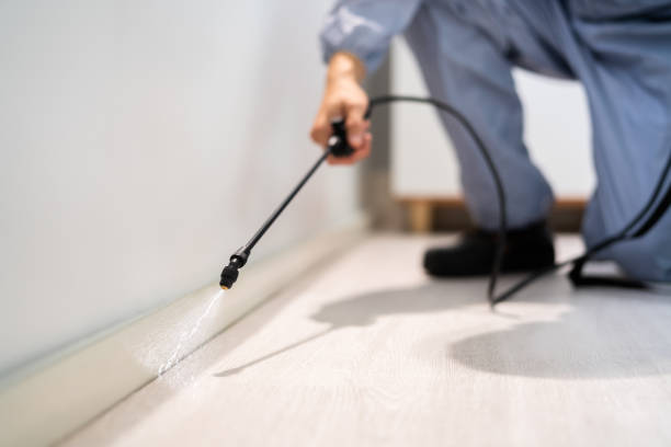 Bed Bug Pre-Treatment Preparation Assessment in Darien