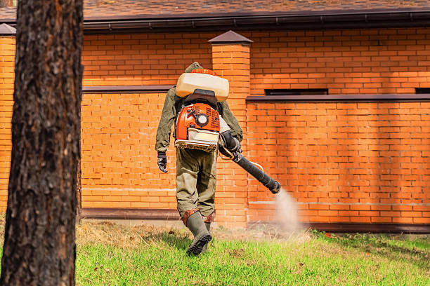 Bed Bug Clearance Verification and Documentation in Darien
